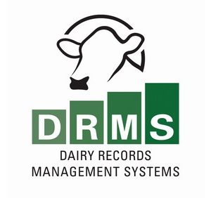 dhia-person-headshot